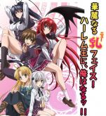 High School DxD